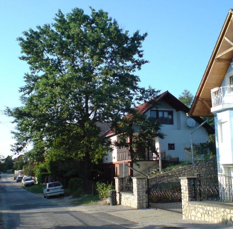 Budai Garden House Heviz Room photo