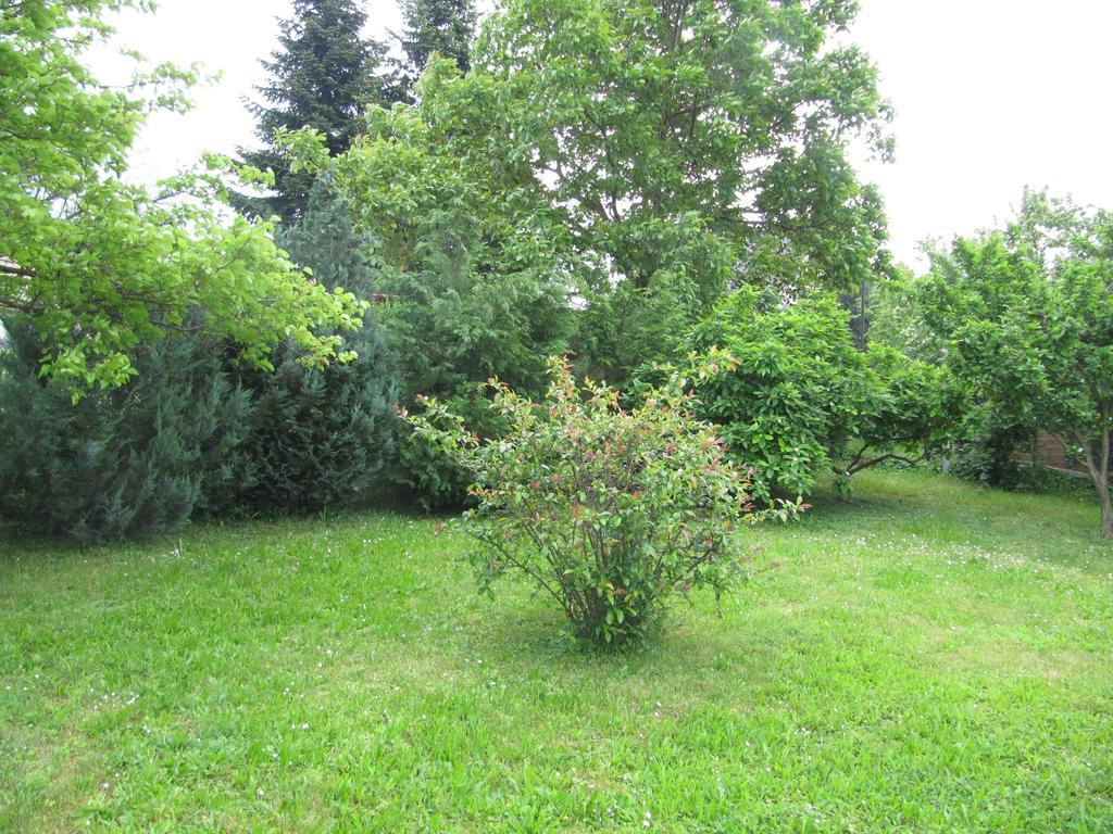 Budai Garden House Heviz Room photo